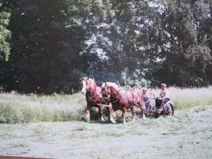 impressum-001