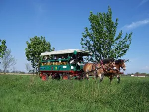 geschichte-008